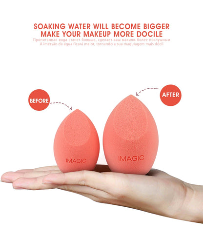 Makeup Sponge Puff - Beauty & Beyond