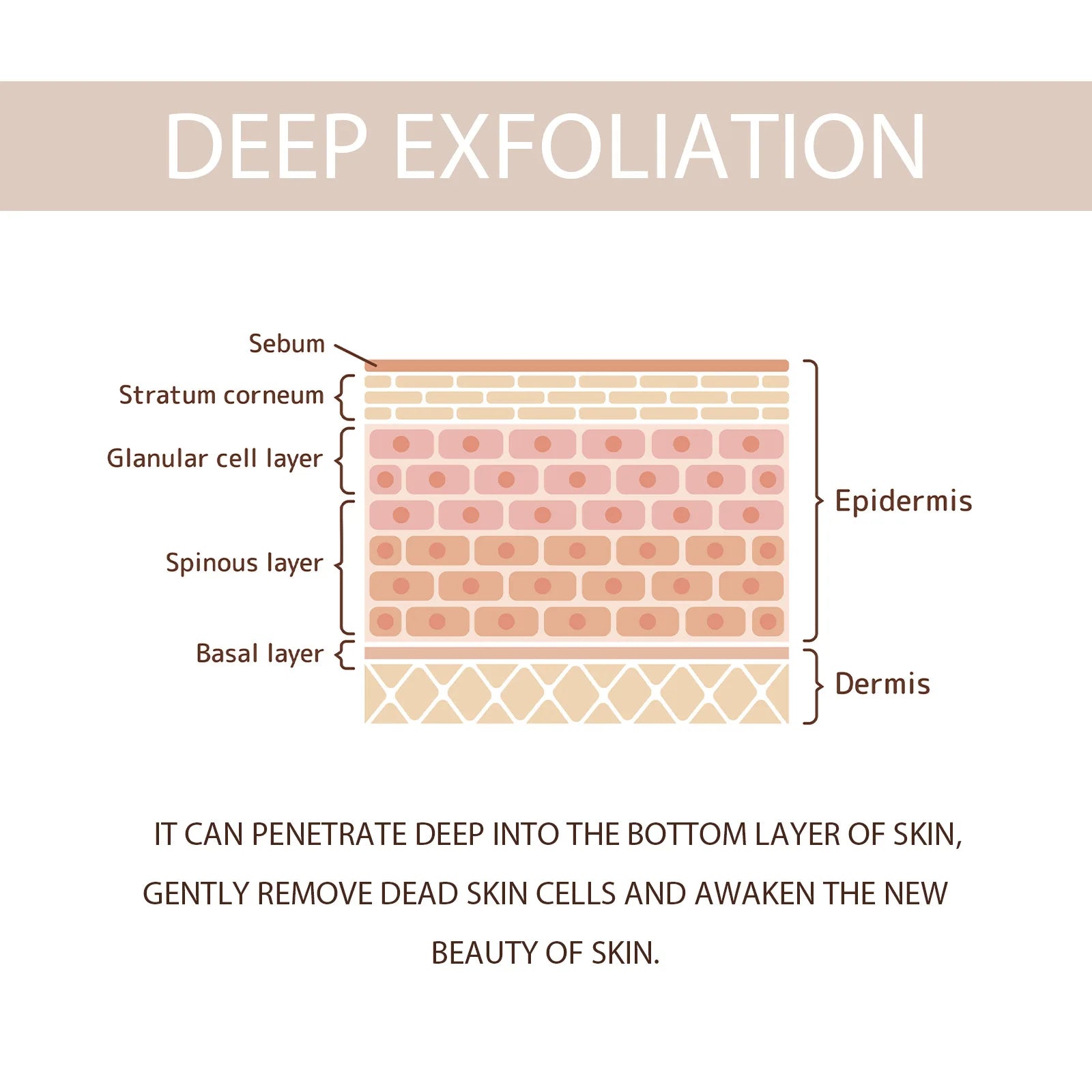 Exfoliating Gel – Pore Shrinking, Dead Skin Removal & Brightening Face Scrub - Beauty & Beyond